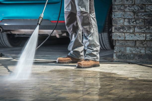 Best Boat and Dock Cleaning  in Tavares, FL