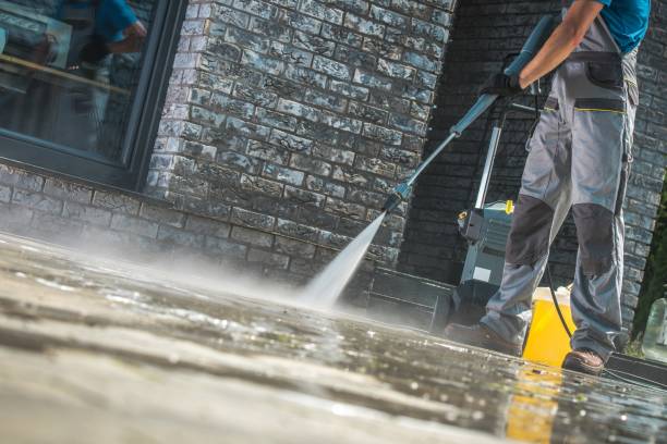 Animal Enclosure Cleaning in Tavares, FL