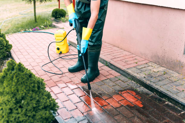 Best Animal Enclosure Cleaning  in Tavares, FL