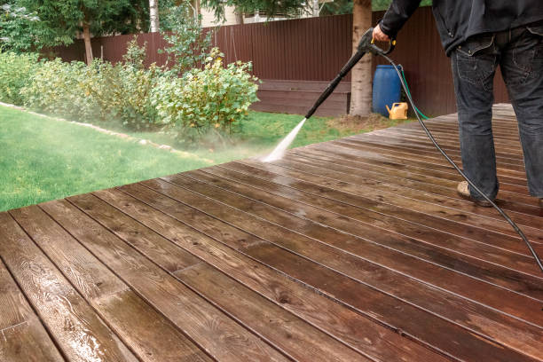 Best Animal Enclosure Cleaning  in Tavares, FL